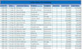 provide advance excel data formatting and precious data entry