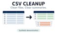 clean your CSV data and provide a clear processing summary