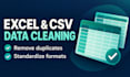 clean and standardize your excel or CSV data
