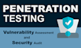 perform website penetration testing and vulnerability assessment