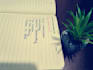 provide clean and beautiful handwritten texts