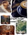 design attractive canva social media posts