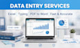 do data entry , excel typing
