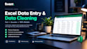 do fast and accurate excel data entry and data processing
