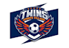 design a professional twins soccer team logo