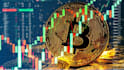 help you set up bitcoin wallet and learn crypto step by step