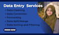 do data cleaning, correcting, merging and formatting services
