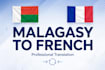 translate from malagasy to french professionally