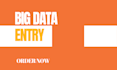 do big data entry tasks in 24 hours