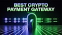 develop stablecoin payment system or crypto payment gateway