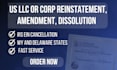 do US llc or corp reinstatement, amendment , dissolution