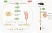 do biomedical science and biology projects