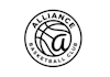 design a professional basketball team logo