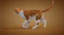 create realistic 3d animal animation, 3d animal model, 3d xgen, zbrush model