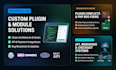 develop or customize wordpress plugins and modules