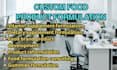 do custom food, beverage, vitamin and supplement product formulation