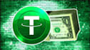 help you set up bitcoin wallet and learn crypto step by step