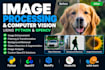develop image processing, opencv and computer vision in python