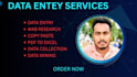 do accurate data entry, web research and excel tasks