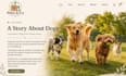 design squarespace animal rescue website pet adoption website donation site