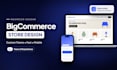 build bigcommerce store, bigcommerce website or stencil theme customization