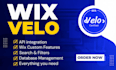 develop customize your wix website using wix velo custom code databases api