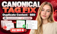 fix squarespace canonical tag errors, duplicate content, indexing and SEO issues