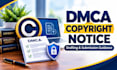 provide professional dmca takedown service