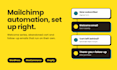 do mailchimp campaign, automation and design landing page