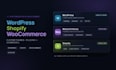 customize your wordpress or woocommerce site with custom themes and plugins