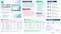 clean and organize your CSV data professionally