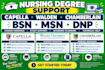 help with capella flexpath, walden, wgu bsn msn dnp nursing and public health