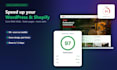 do wordpress and shopify speed optimization for google pagespeed insights