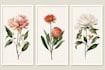 draw custom botanical and flower illustrations