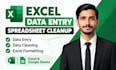 do excel data entry, spreadsheet cleanup and formatting