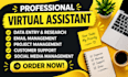 be you personal virtual assistant administrative virtual assistant executive VA