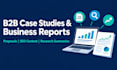 write b2b case studies, business reports, proposals and SEO content