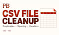 clean and organize your CSV or tsv file