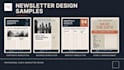 design a professional newsletter in canva
