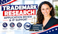 provide trademark research, application review and IP support