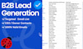 do expert b2b lead generation and email list building