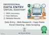 be your expert data entry virtual assistant