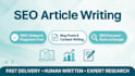 write SEO blog posts and articles