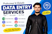 do accurate excel data entry, copy paste and web research