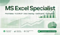 do data entry, typing and excel work accurate