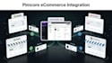 integrate pimcore with shopify, magento and wordpress