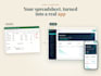 turn your excel spreadsheet into a custom web app