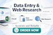 do accurate data entry and web research