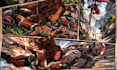 do comic book illustration graphics novel comic strip anime banner manga panels