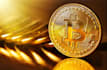 help you set up a bitcoin wallet and learn crypto step by step